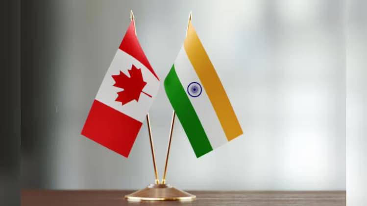 Good news for Indians! Canada launches open work permit stream for US H1-B visa holders